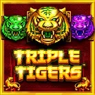 Triple Tigers™ icon